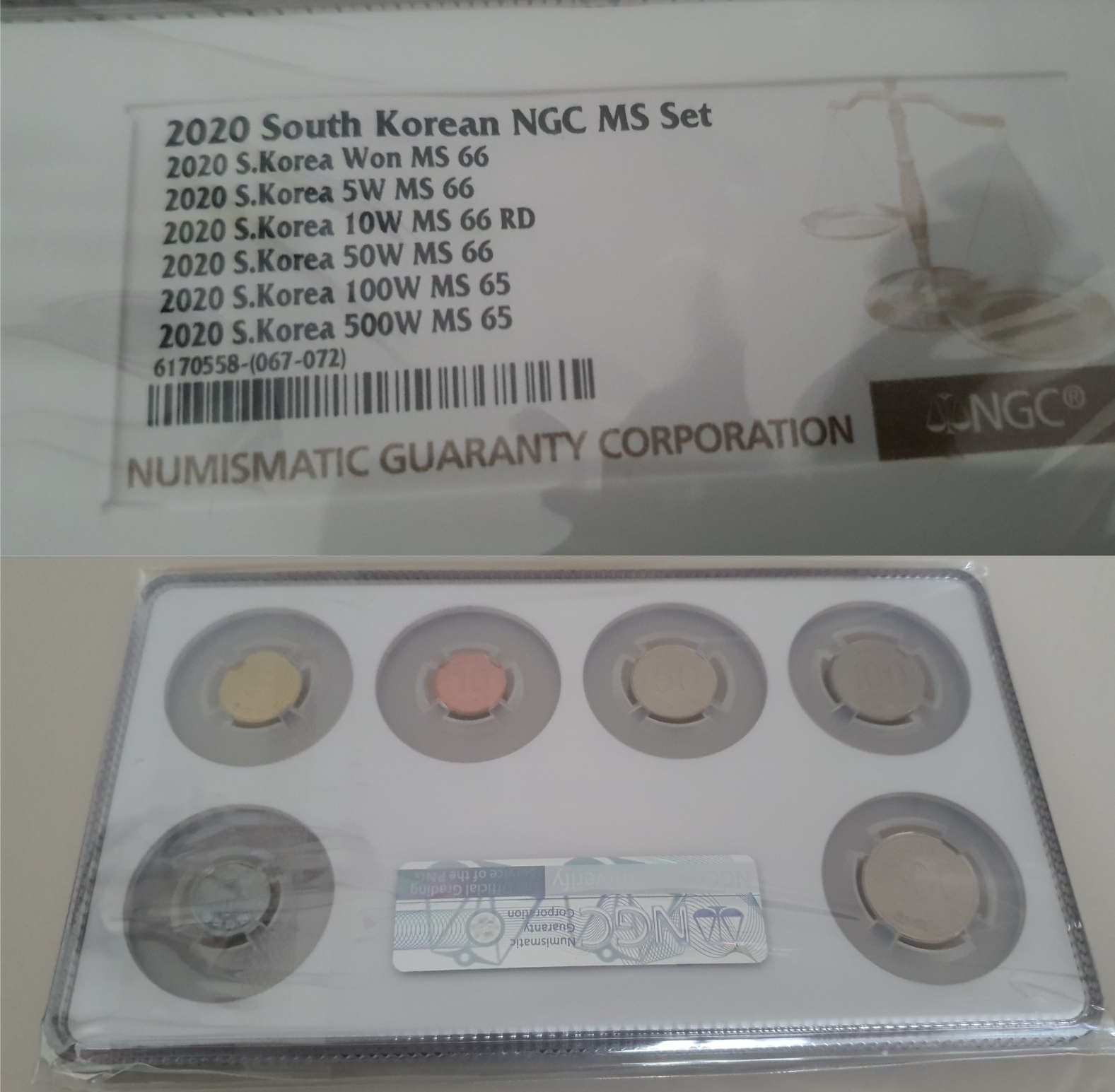 2020년멀티그레이딩