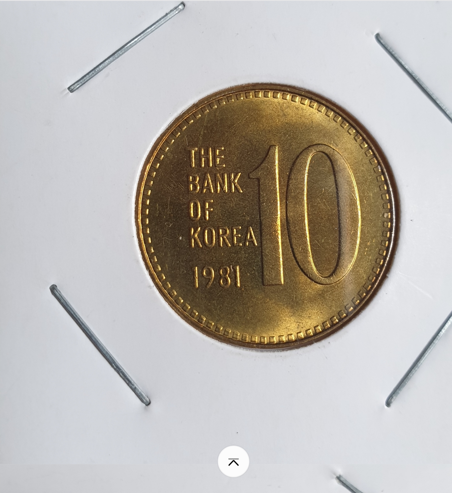 1981년10주