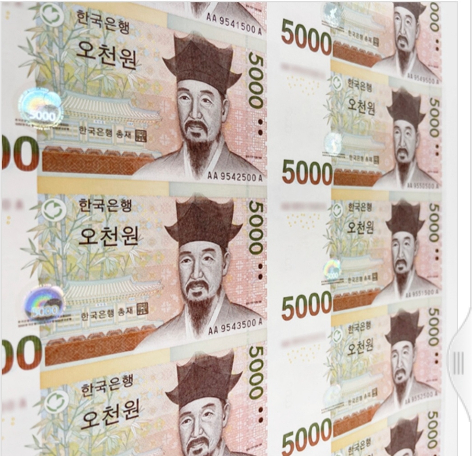 한국은행권5,000원권 16장 전지