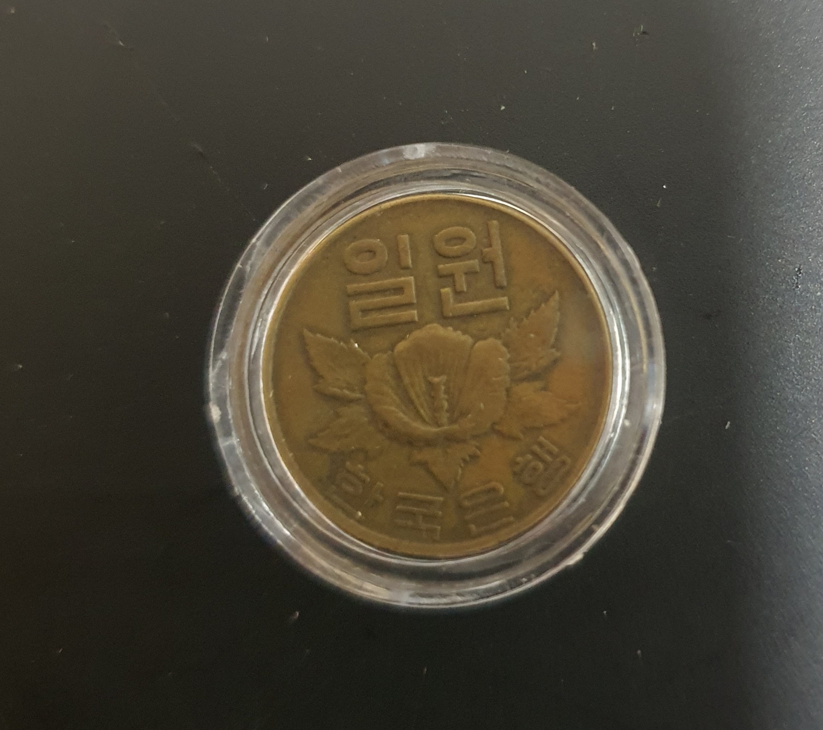 1966년1주