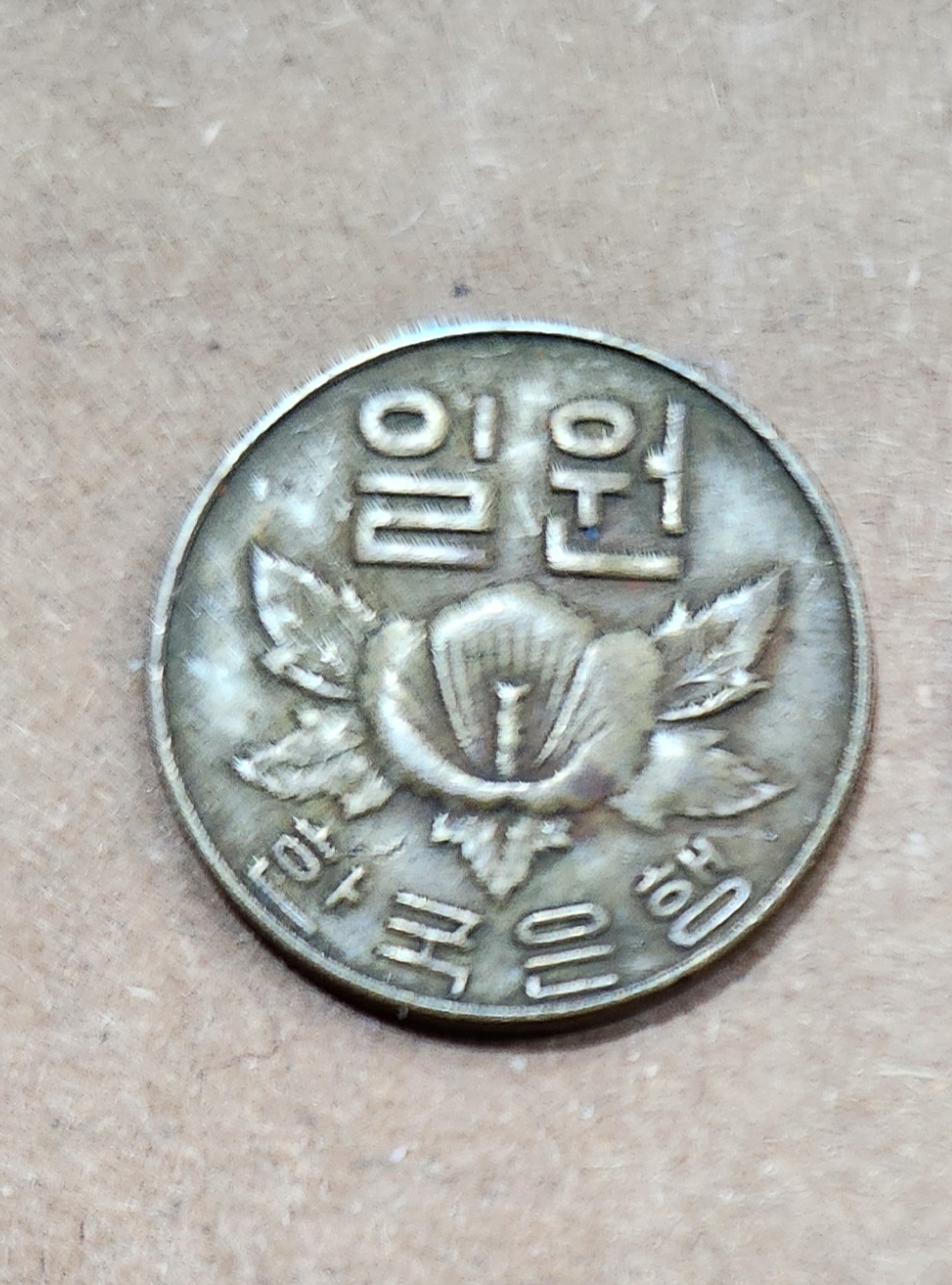 1966년 1주