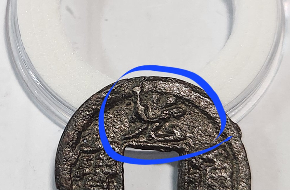 광서통보 활연전1점/광자주물에러