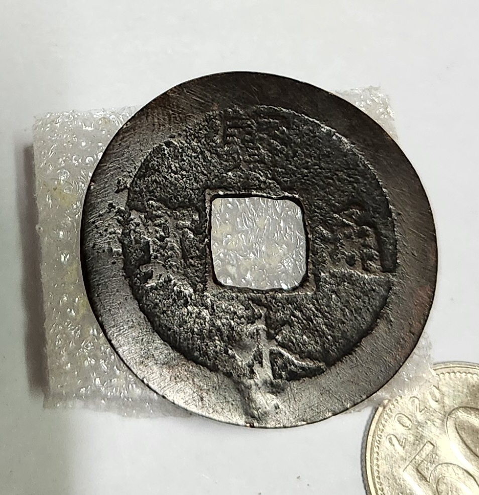 보영통보1점/일본주화의 꽃