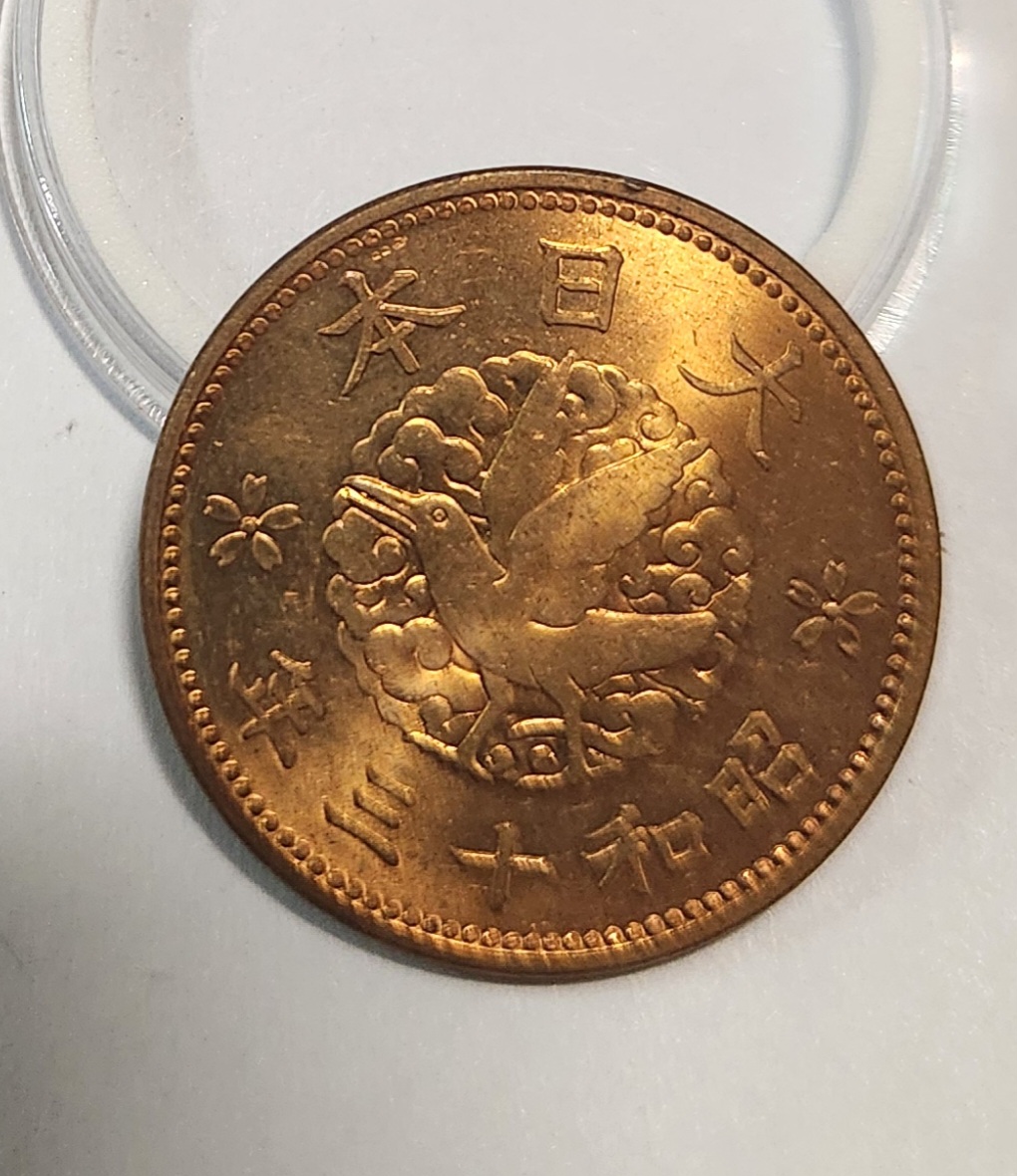 1938년 1전 황동화