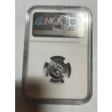 2018년/China Fen/1펜/MS70등급